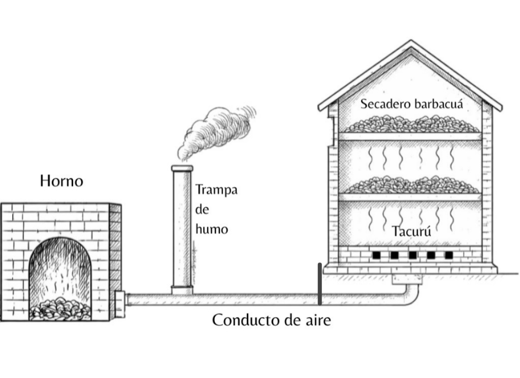 Proceso de producción del barbacuá